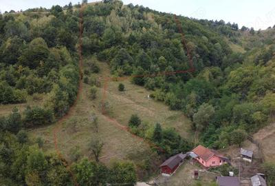 Vand casa (2 corpuri+ ograda) + 2 terenuri in Visca, Jud. Hunedoara - 2