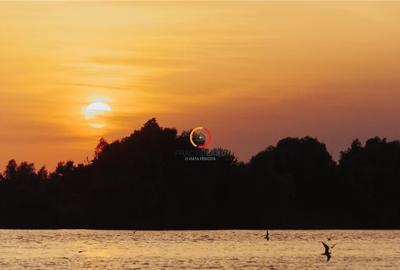 Teren 1950mp cu casa batraneasca 45 mp - 2