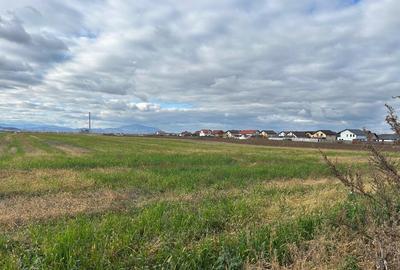 Terenuri de vanzare Tarlungeni, Izvor | 500 mp | 0% Comision - 10