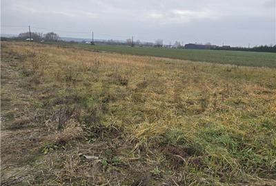 Teren de 530 mp, în Fughiu - 5