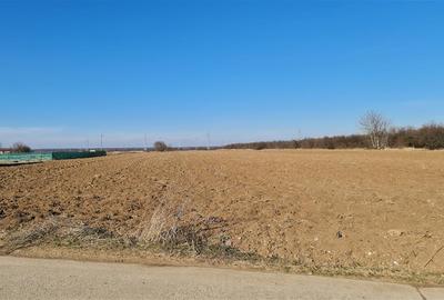 Vanzare Teren intravilan Peris - Ilfov - 4