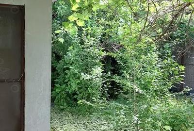 Casă cu 4 camere în Murighiol - 1