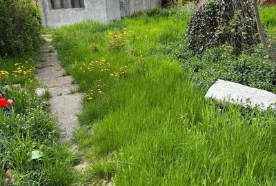 Spațiu comercial, în Băneasa - 3