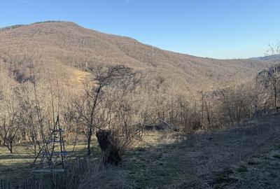Teren de 1780 mp, în Valea Doftanei - 3