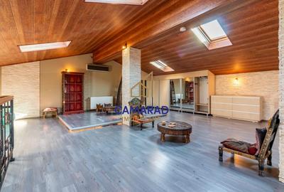 Vila eleganta de inchiriat - Pipera - 16