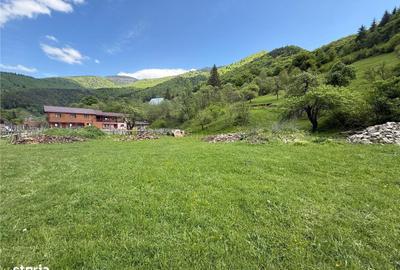 Teren de 1500 mp, în Central - 5
