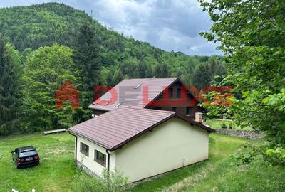 Casă cu 8 camere cu Teren 3905 Mp în Ilva Mică - 19