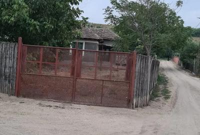 Casă cu 2 camere în Braniștea - 11