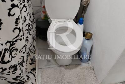 Casă cu 3 camere cu Teren 3000 Mp în Tămășeu