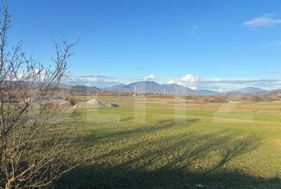 Teren extravilan 1000 mp, zona Livezile - 1