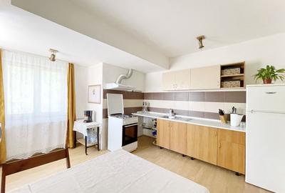 Apartament cu 6 camere semidecomandat, mobilat în Mehala - 20