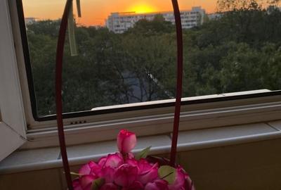 Titan-Potcoava-strada Intrarea Badeni - 8