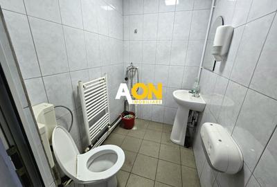 Spațiu industrial, de 560 mp, în Ampoi 1 - 27