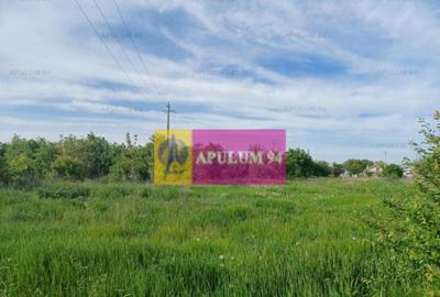 Teren de 1400 mp, în Joița - 3