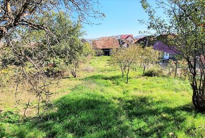 Casa cu teren 1300 mp zona Primarie Selimbar Casa cu teren 1300 mp zona Primarie Selimbar - 4