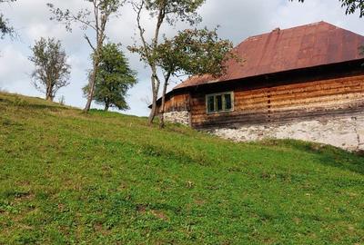 Casă cu 2 camere cu Teren 2000 Mp în Mogoș - 2