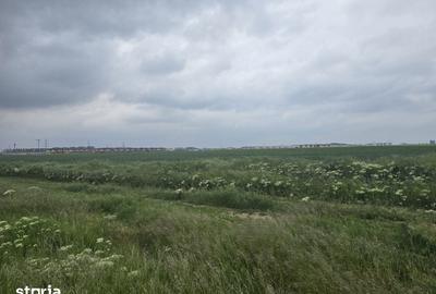 Teren de 10000 mp, în Dobroești - 2