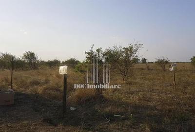 Vanzare teren intravilan I Ciorogarla-Centura Bucuresti I 500mp I Comision 0% - 4