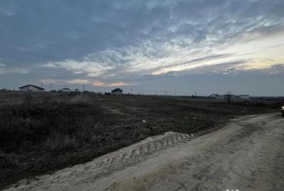 Teren în Malu Mare - 2