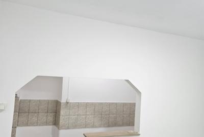 Casă cu 2 camere în Calea Clujului - 4