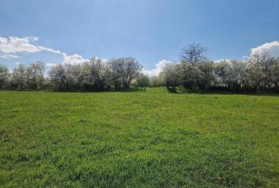 Teren de 3800 mp, în Moșteni - 3