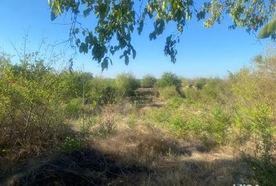 Vand casa batraneasca in comuna Pristol, Mehedinti - 4