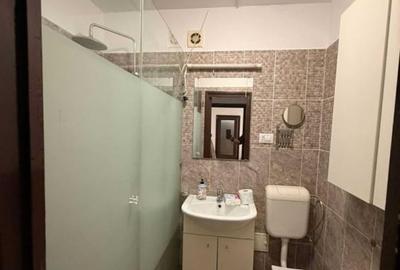 Apartament cu 3 camere semidecomandat, mobilat în Drumul Taberei - 6