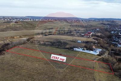 Teren 2925 mp comuna Mitocu Dragomirnei - 3