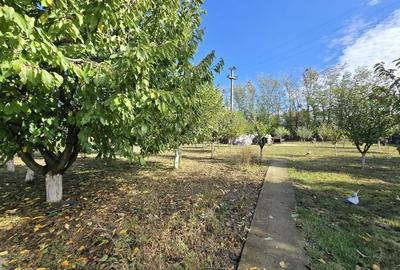 Casa individuala cu teren generos Jilava - Str Garii - 8