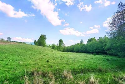 25.000 mp TEREN IDEAL AFACERE TURISM – AMENAJARE LAC DE PESCUIT, CIUCEA - CLUJ - 12