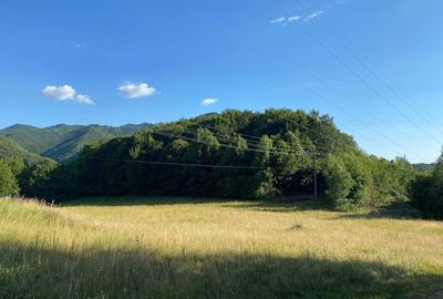 Teren de 20000 mp, în Reghin - 8