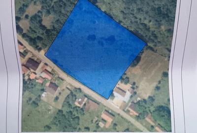 Teren de 7712 mp, în Cărbunari - 2