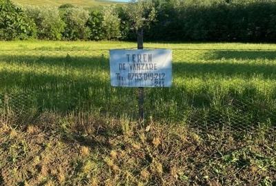 Teren de 3000 mp, în Moldovenești - 1