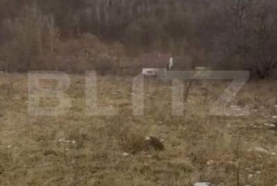 Teren de 3300 mp, în Ciurila