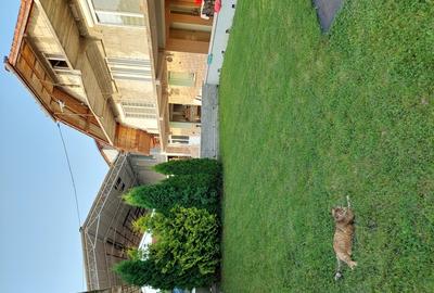 Apartament cu 2 camere în Dobra - 3