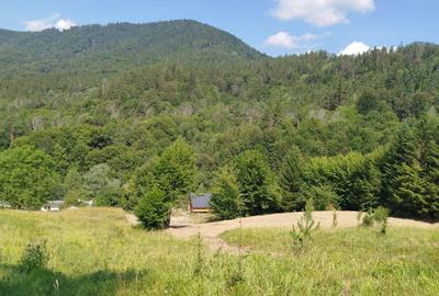 Casă cu 3 camere în Vadu Oii - 2