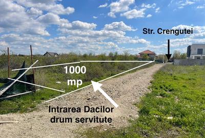 Teren intravilan - Domnesti, Ilfov 1000mp - 6