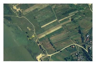 Teren de 750 mp, în Burila Mare - 2