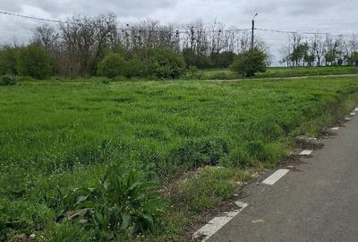Teren de 750 mp, în Vlădiceasca - 3