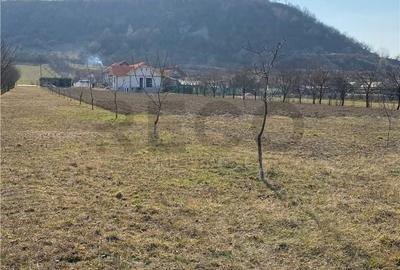 Teren de 800 mp, în Aștileu - 2
