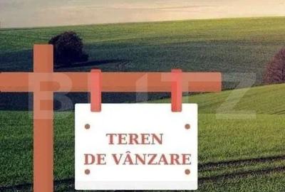 Spațiu comercial, în Șcheia