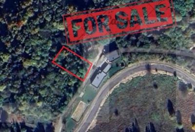 Teren de 1256 mp, în Ciurila - 3