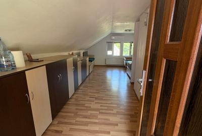 Casa batraneasca renovata Baile Olanesti, Valcea, sat Cheia - 5