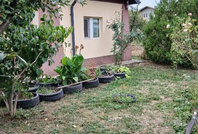 Casă cu 4 camere cu Teren 836 Mp în Ghighiu - 4