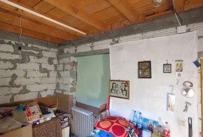 Casa, gradina, teren mare - Palazu Mare - 5