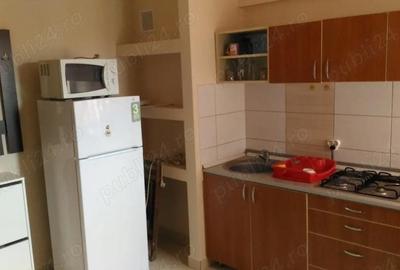 Apartament cu 2 camere decomandat, mobilat în Ultracentral - 7