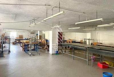 Spatii productie si depozitare, zona Sebis - Prunisor-Carand - 11