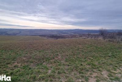 Spațiu comercial, în Paleu