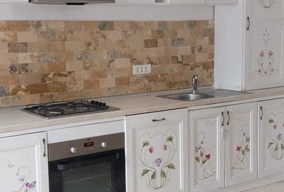 Vila spatioasa de inchiriat la intrarea in Dumbravita - 7