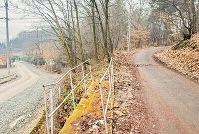 Teren intravilan de 24880 mp, în Griviței - 12